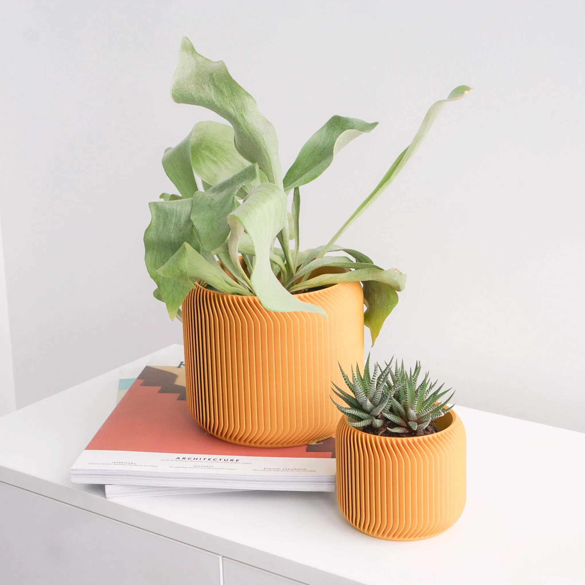 3D-Printed Planter - 5"