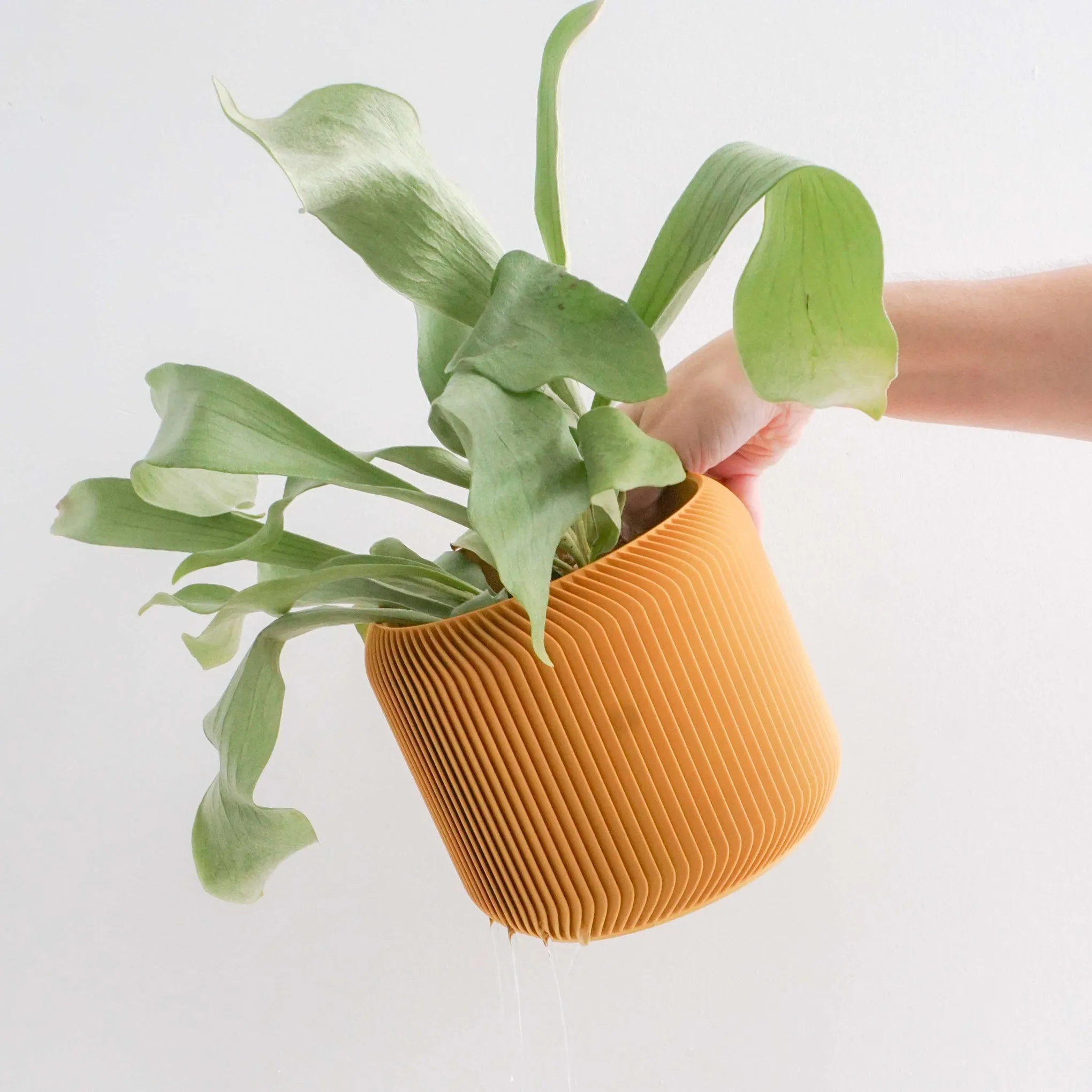 3D-Printed Planter - 5"