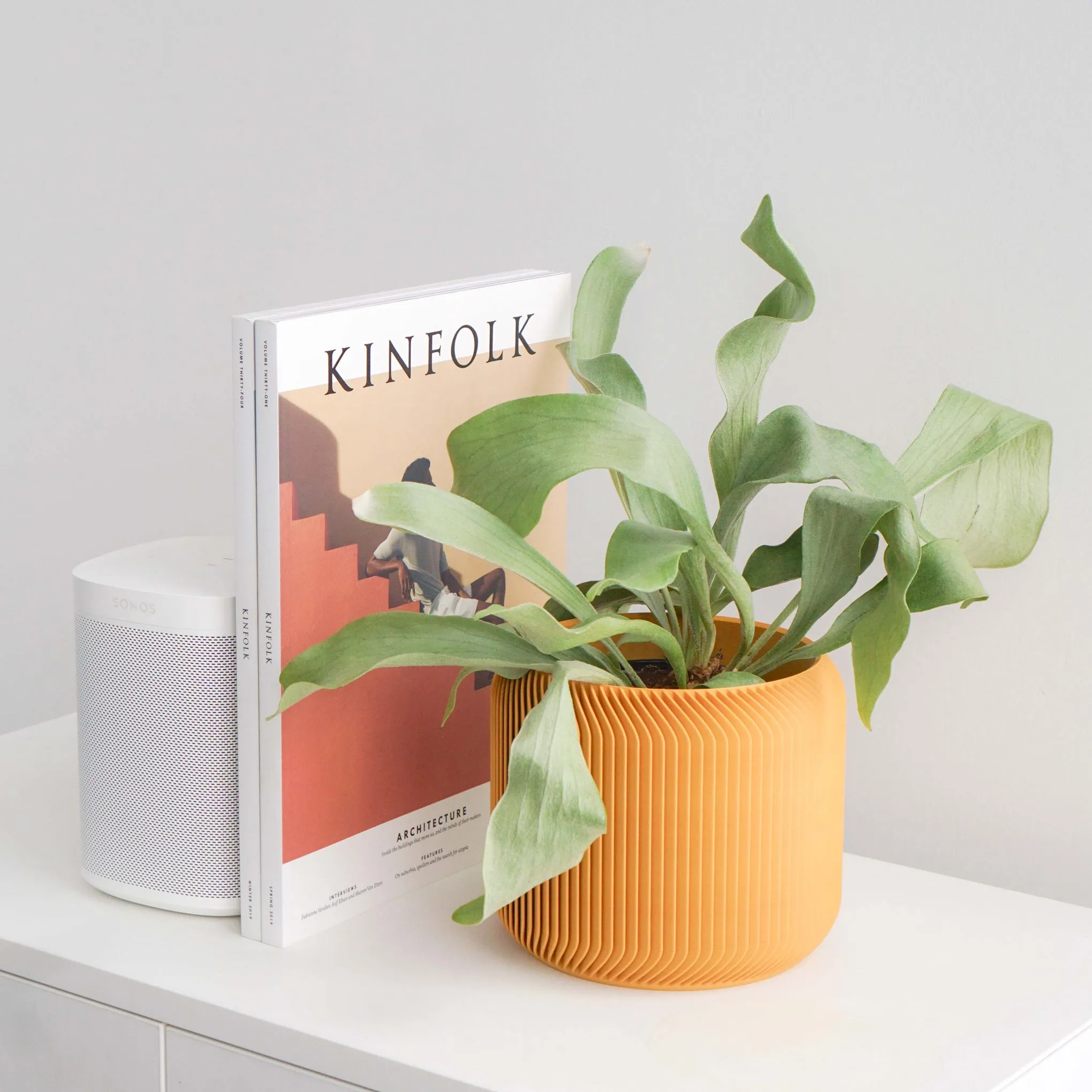 3D-Printed Planter - 5"