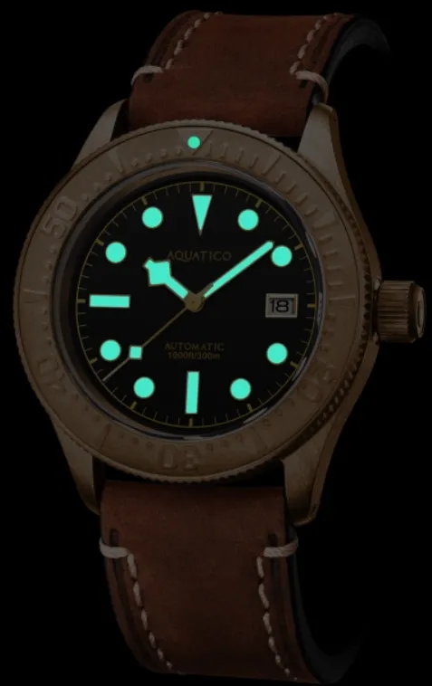 Aquatico Bronze Sea Star Black Bronze Bezel