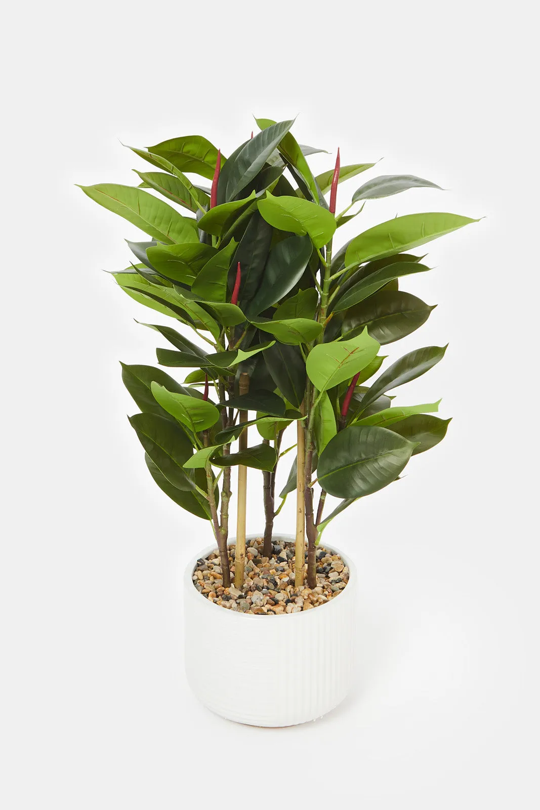 Artificial Rubber Plant In Ceramic Pot (94Cm)
