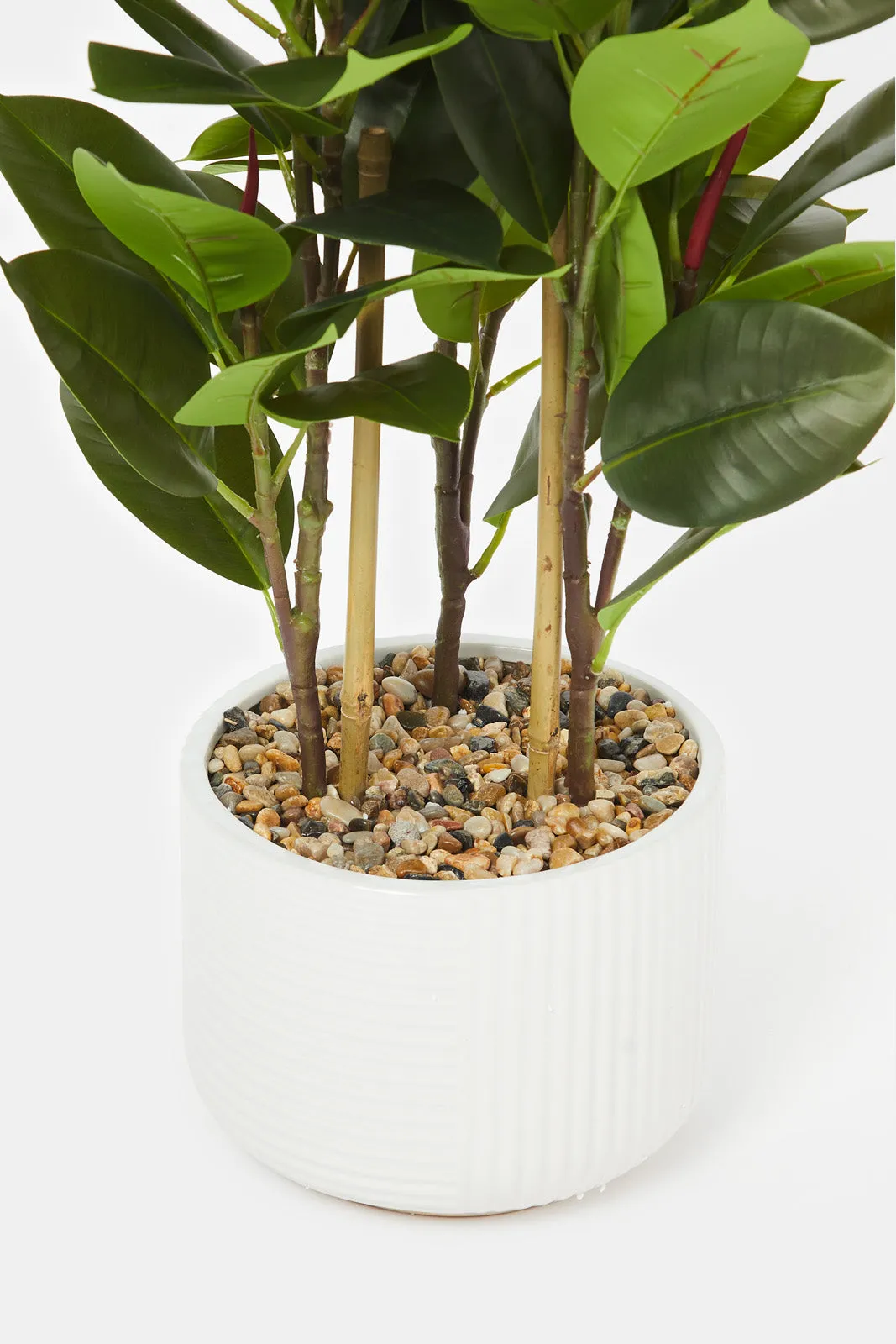 Artificial Rubber Plant In Ceramic Pot (94Cm)