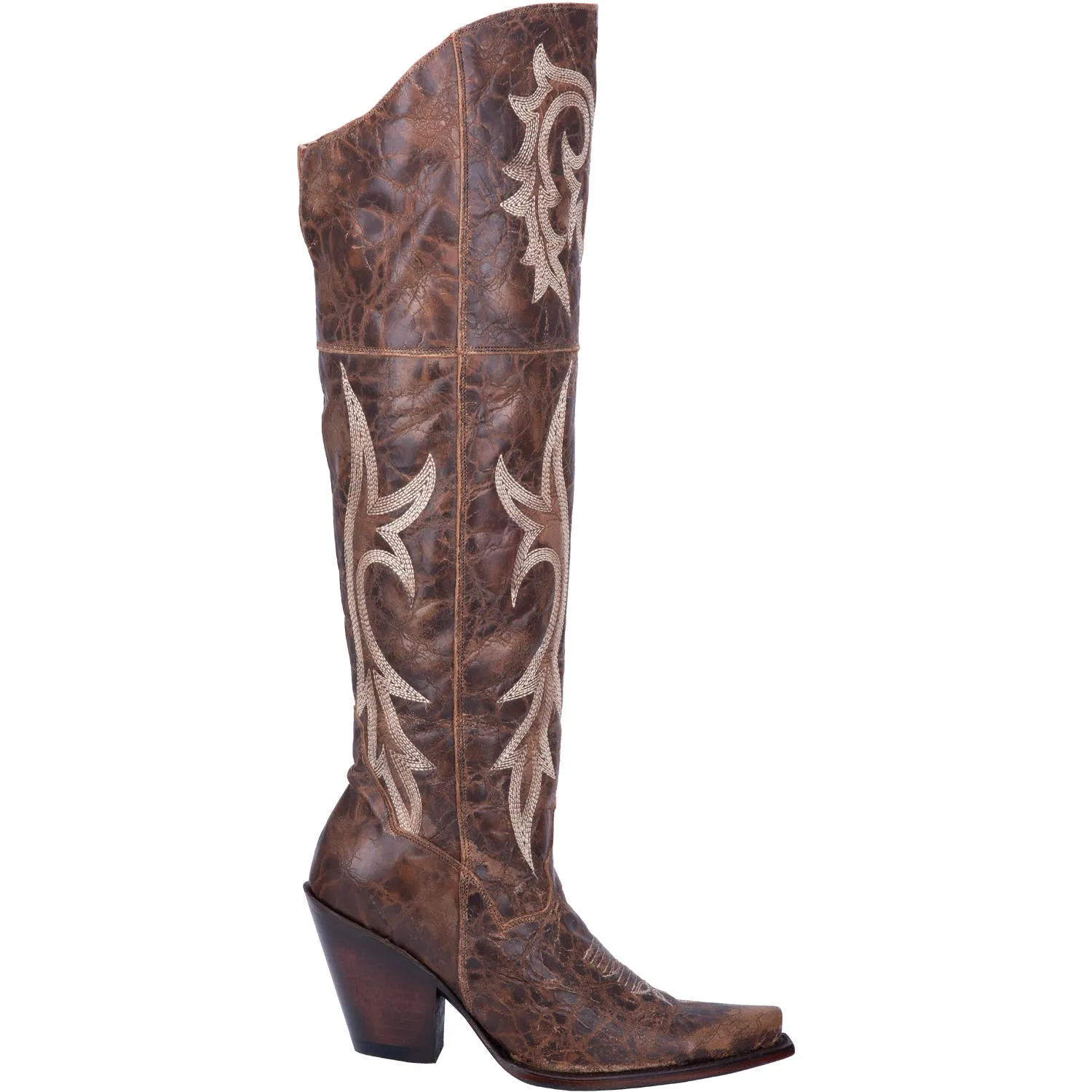 Dan Post Women's 20" Brown Jilted Snip Toe Leather Western Boot