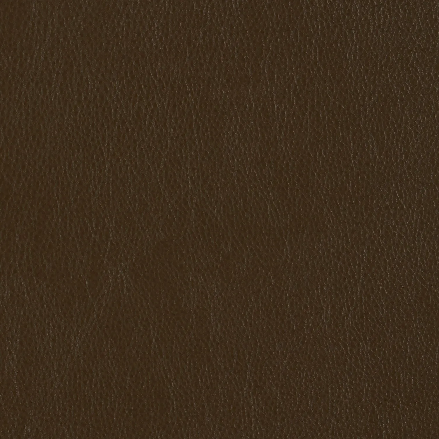 Decoy - Crocodile Tears - 4087 - 38 - Half Yard
