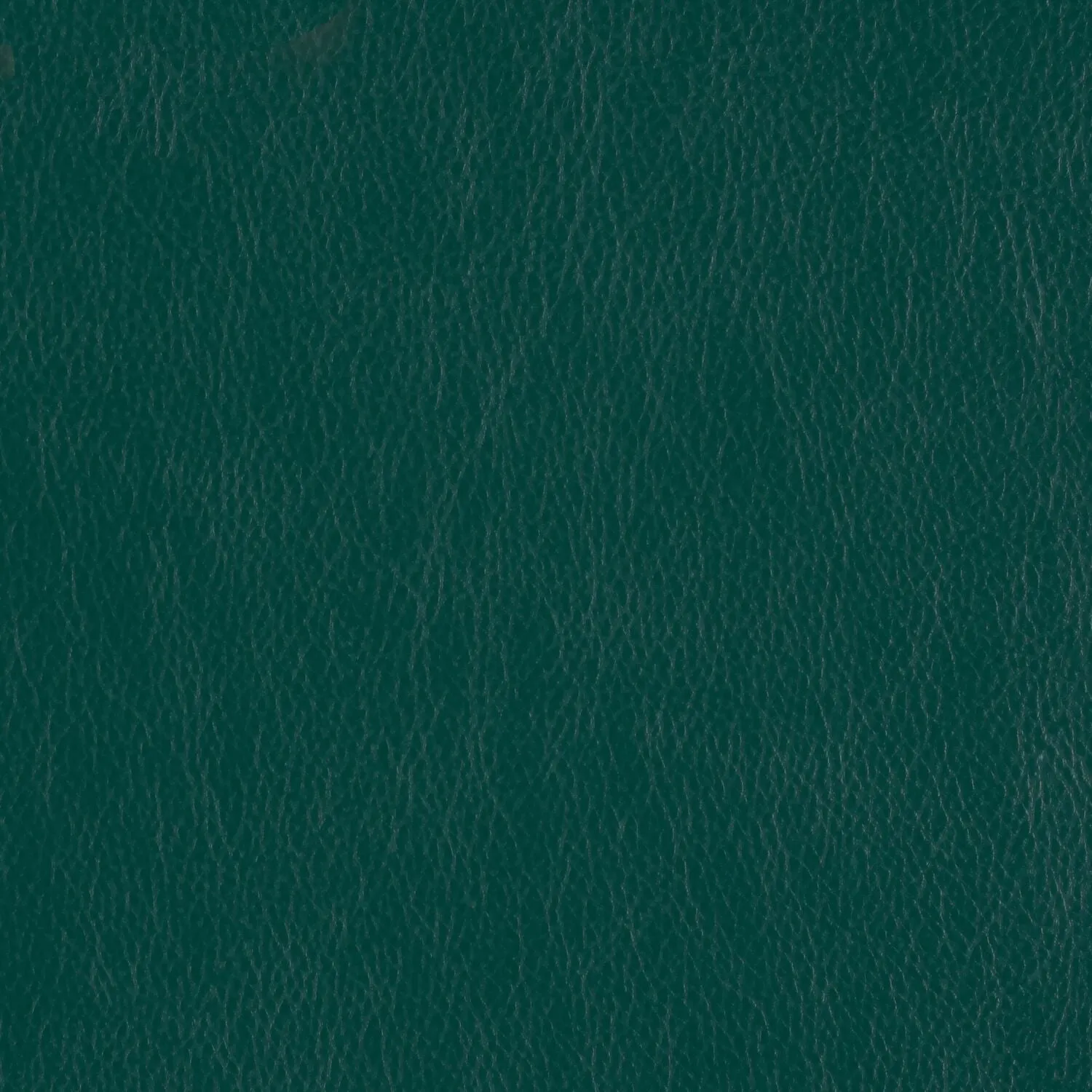 Decoy - Garden Path - 4087 - 41 - Half Yard