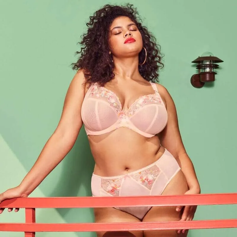 Elomi Himari High Leg Brief Peach Whisper