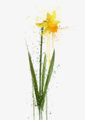 Flower Wall Art Print 'Daffodil'
