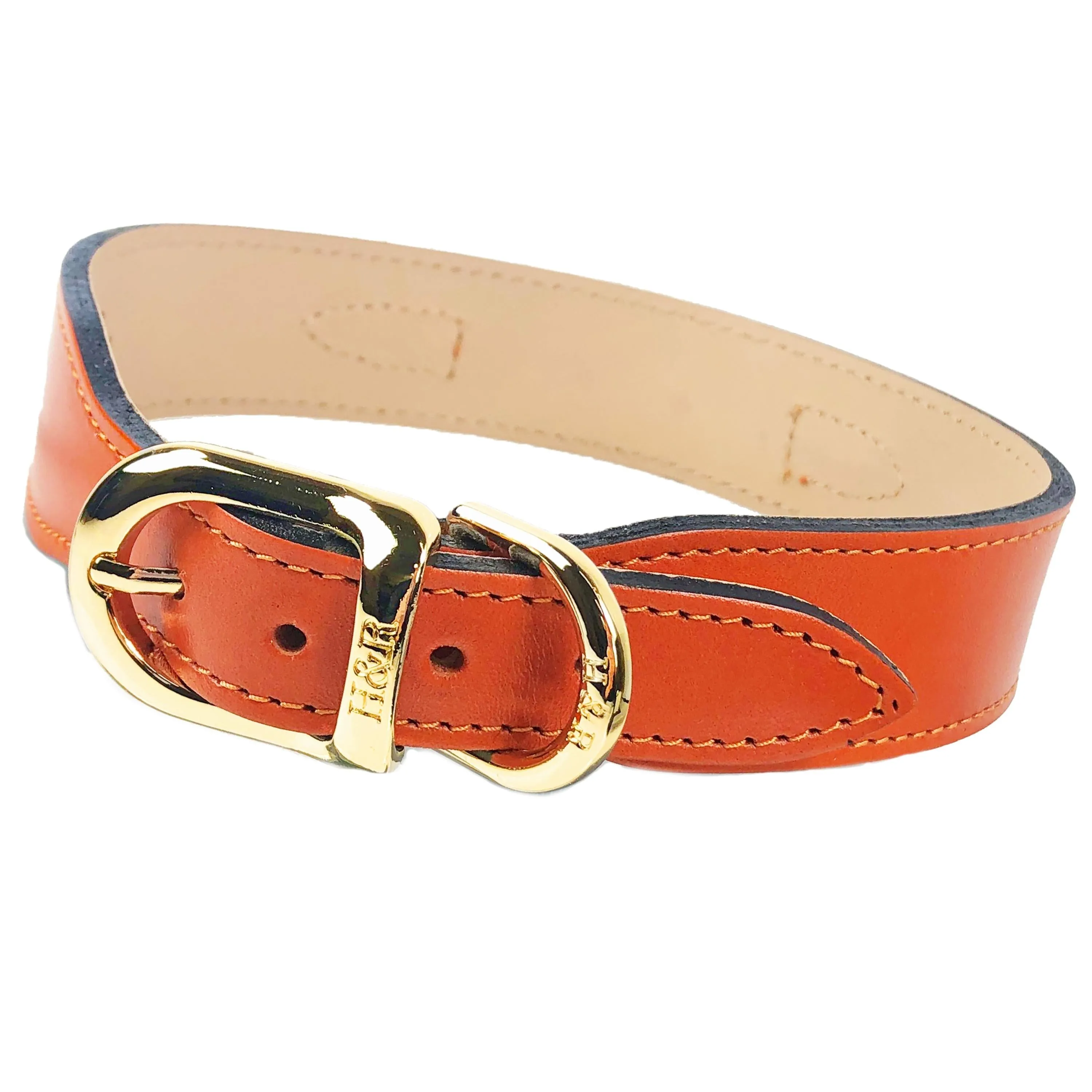 Hartman Dog Collar in Tangerine