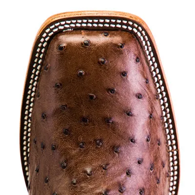Kango Tobacco Full Quill Ostrich - HP8001