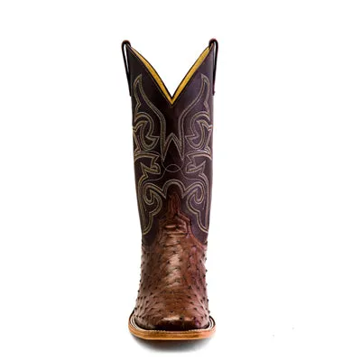 Kango Tobacco Full Quill Ostrich - HP8001