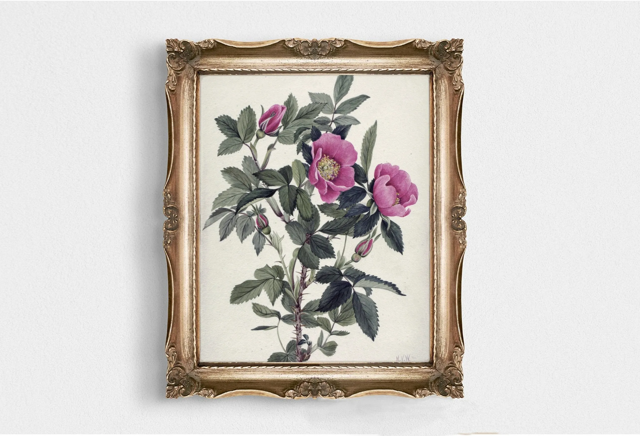 Printed Vintage Floral Plant Kitchen Wall Art