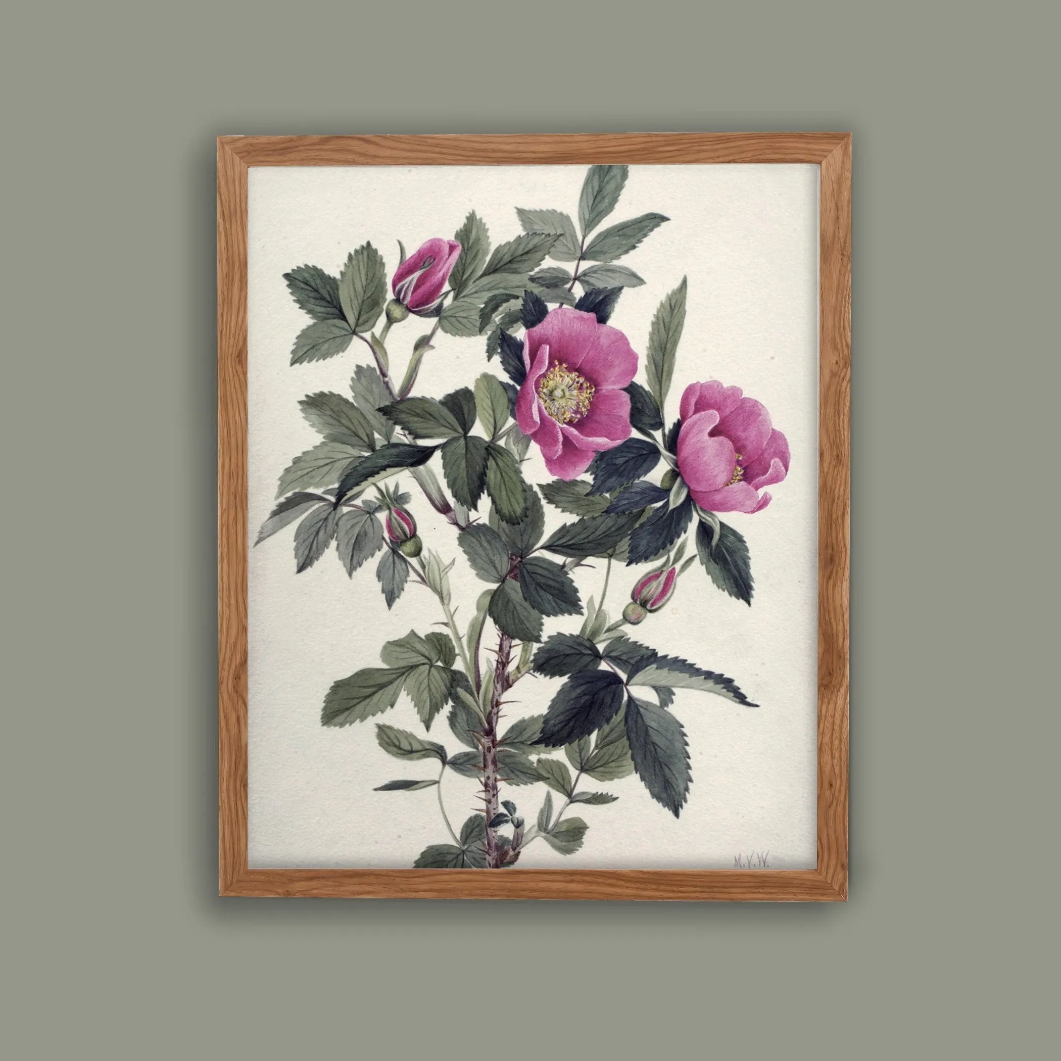 Printed Vintage Floral Plant Kitchen Wall Art