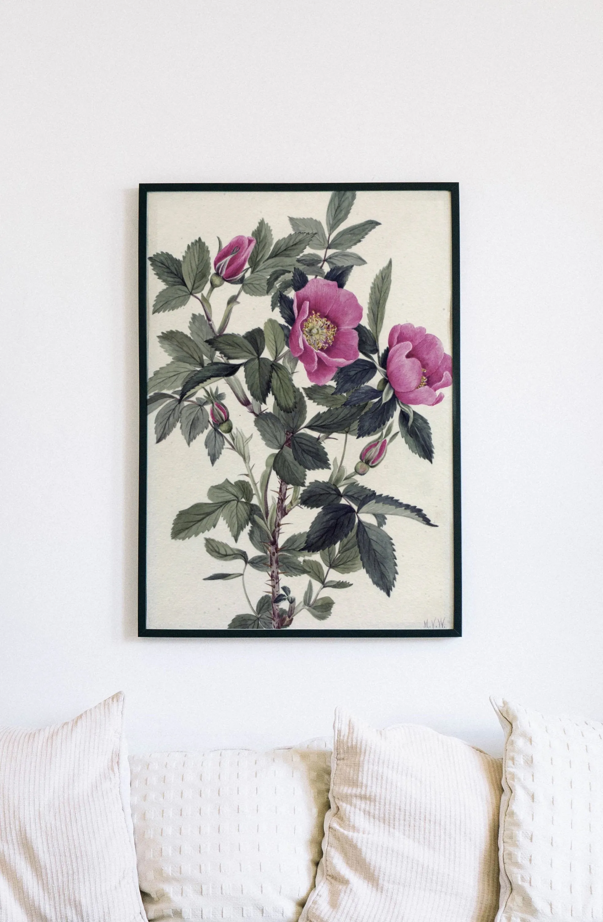 Printed Vintage Floral Plant Kitchen Wall Art